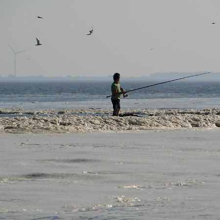 Do'S Chalets Baarland ภายนอก รูปภาพ
