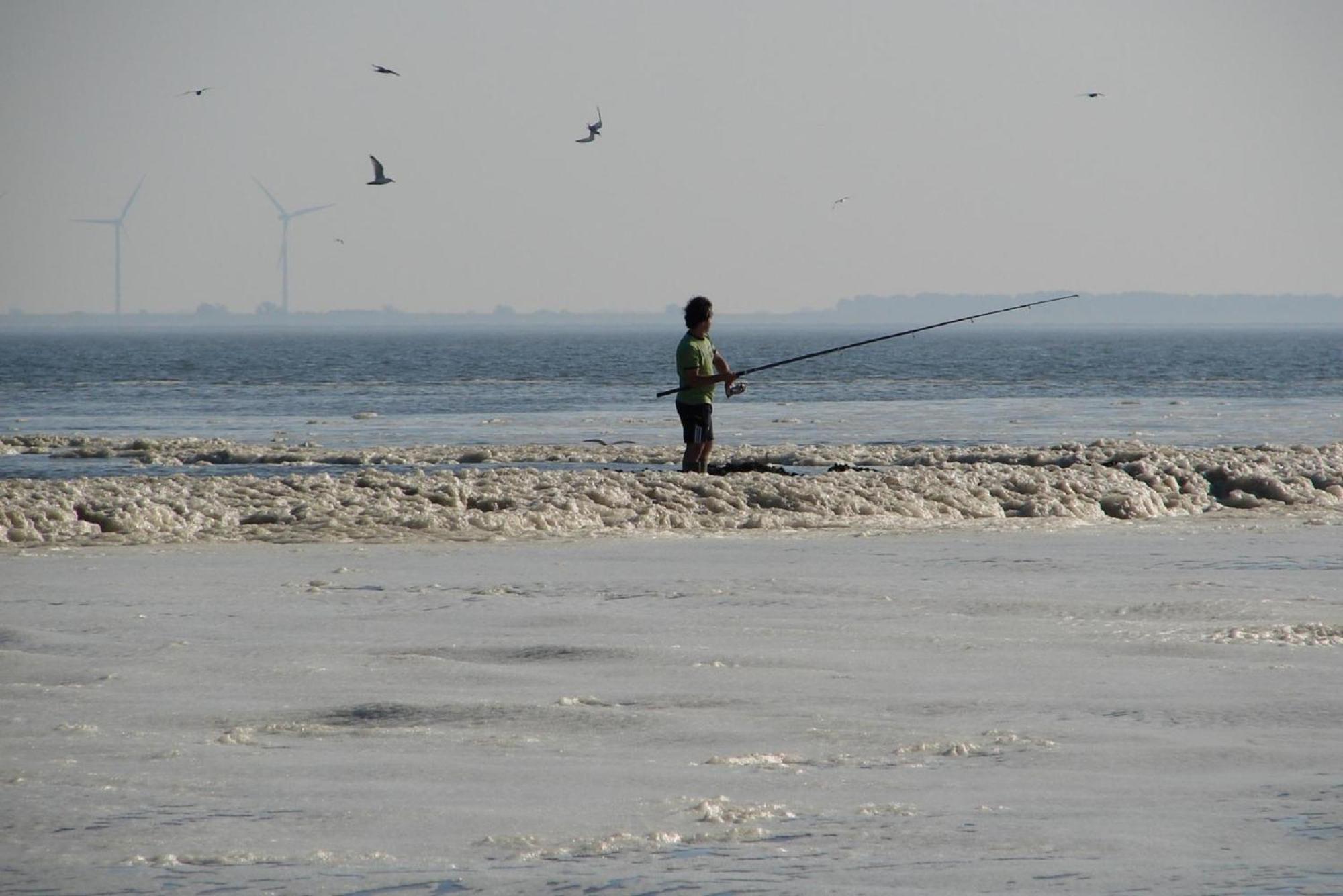 Do'S Chalets Baarland ภายนอก รูปภาพ
