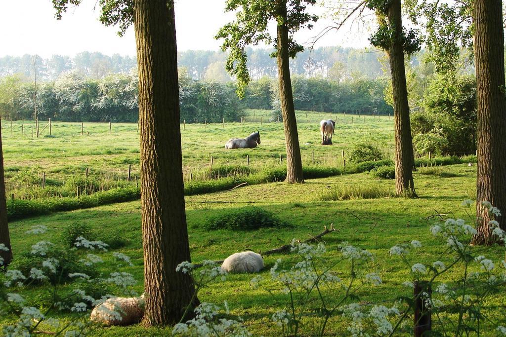 Do'S Chalets Baarland ภายนอก รูปภาพ